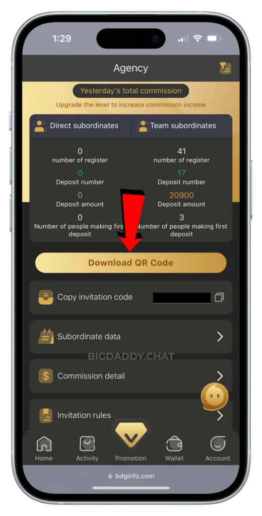 BDG-PROMOTIONAL-PAGE